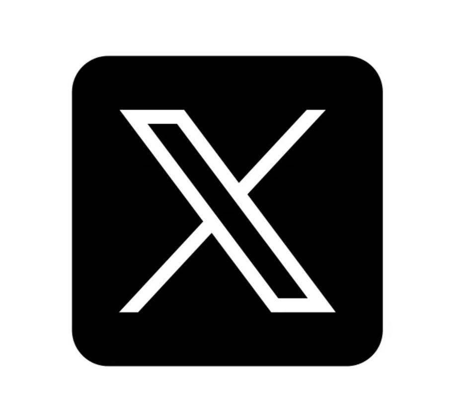 x推特加速器用哪个图标