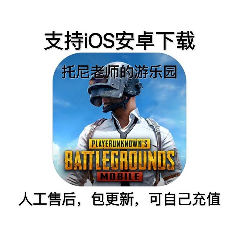 PUBG国际服手游安卓下载图标