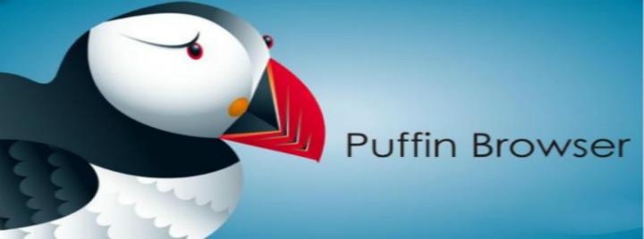 Puffin浏览器官网入口