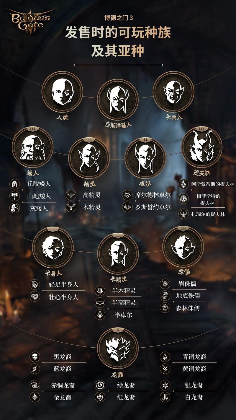 博德之门3添加物品代码图标