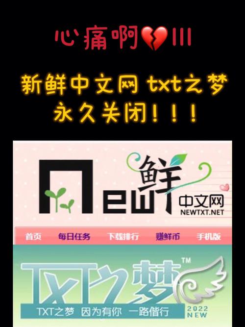 新鲜中文网正版TXT免费