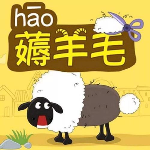 天天羊毛赚钱