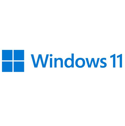 windows11简体中文版图标