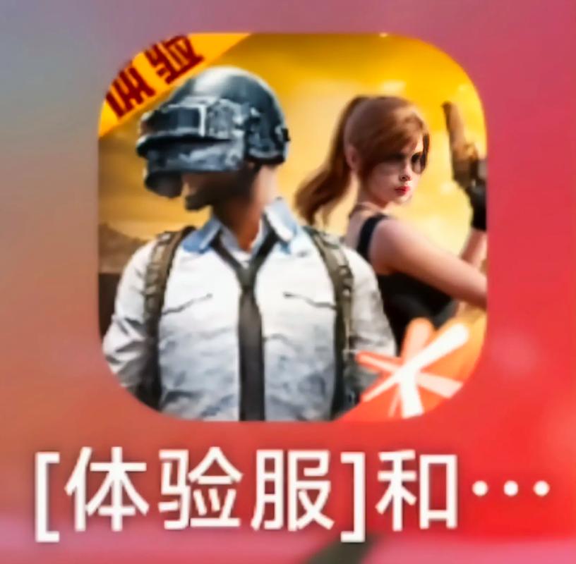 和平精英观透直装图标
