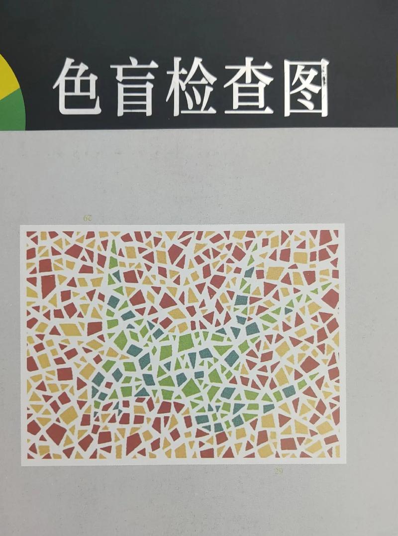 色盲检查图第六版pdf图标