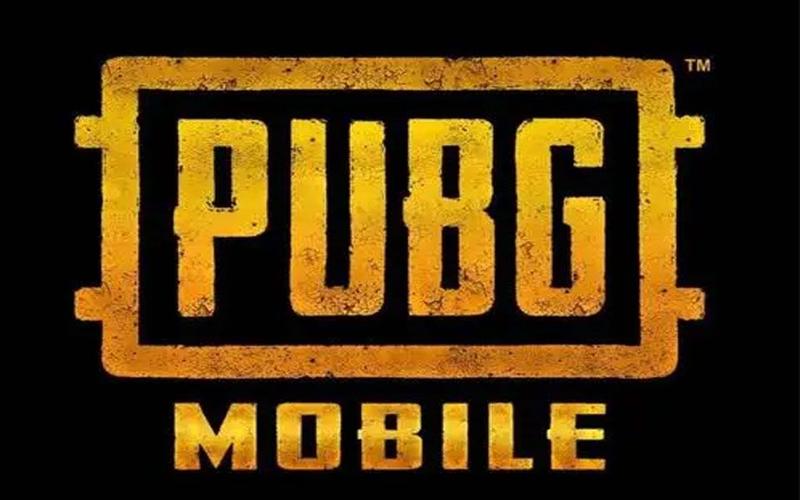pubg公益直装破解版光环加速版图标